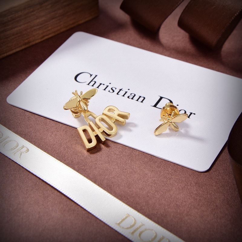 Christian Dior Earrings